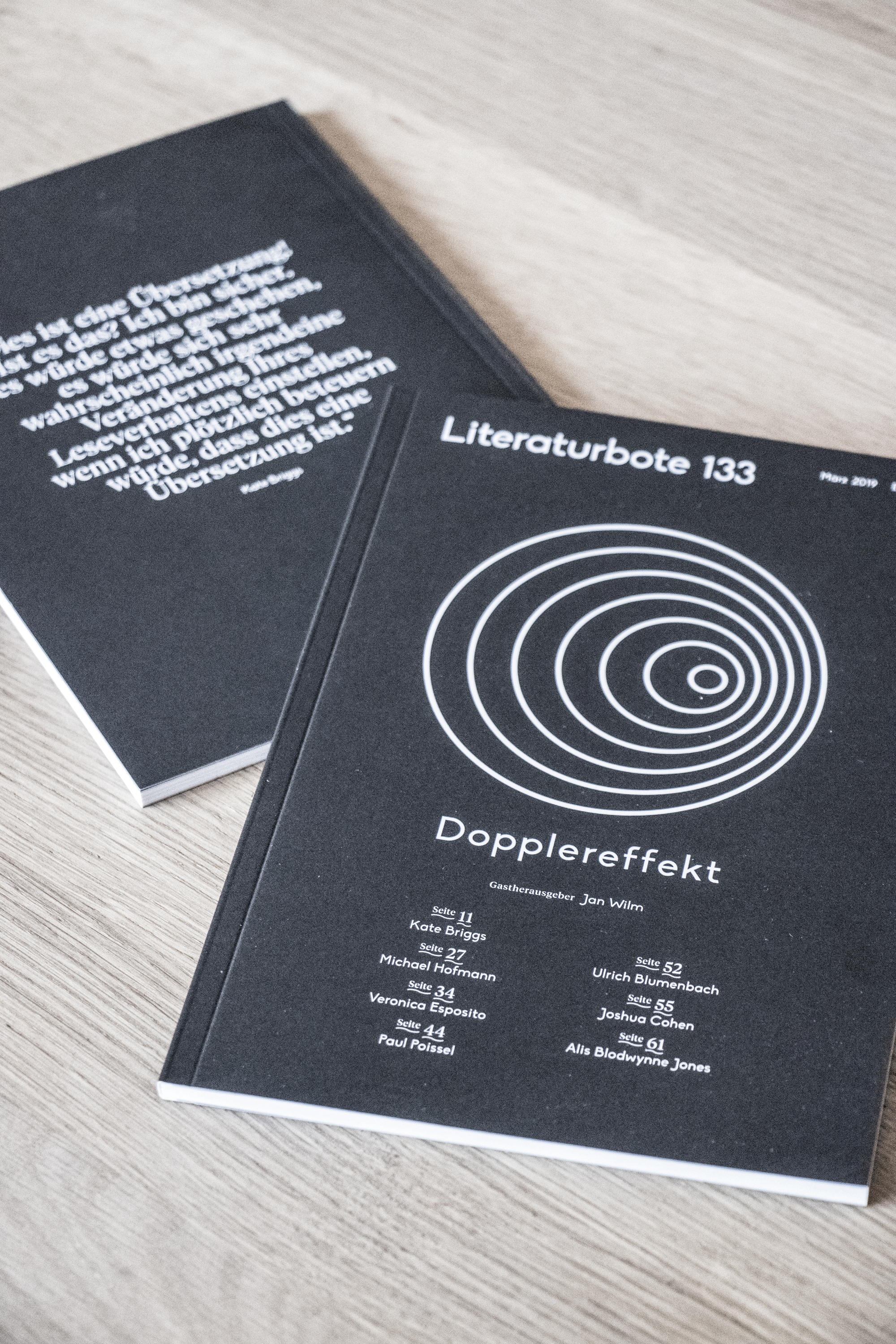 Literaturbote 133